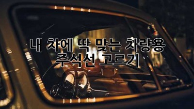 내 차에 딱 맞는 차량용 주석선 고르기
